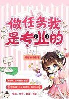 做任务我是专业的